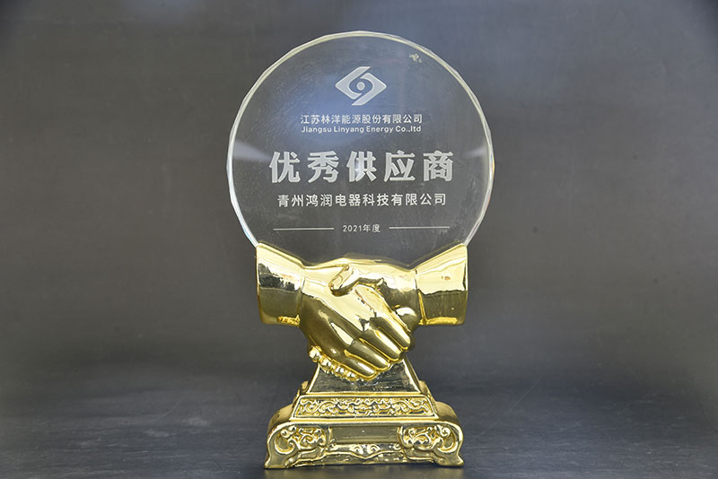 Linyang Energy 2021 Excellent Supplier 